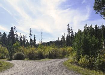 Beaverhead Campground, Butte Ranger District 