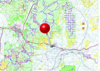 A graphic map pin is stuck in the center of a generic forest map.