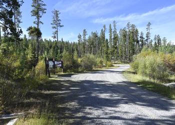 Beaverhead Campground, Butte Ranger District 