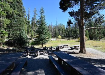 Grasshopper Campground, Dillon Ranger District 