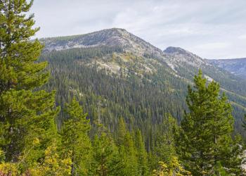 A rocky mountain peak is covered with evergreen conifer trees and scree slopes, beneath a cloudy sky.