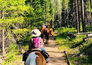Bitterroot Backcountry horsemen on a trail in the forest.