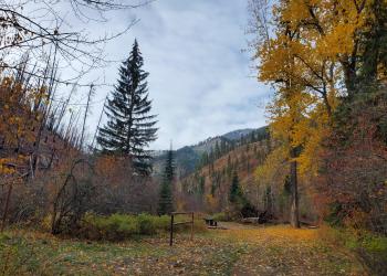 Deep Creek Campground site