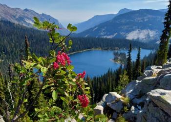 Fish Lake overlook - Sula Ranger District