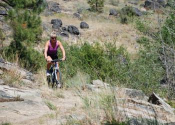 Mountain bike rider on a trail
