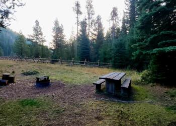 Single campsite at Fales Flat Campground