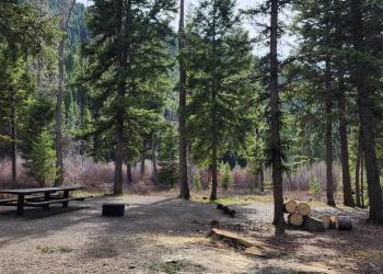 Large site back loop 