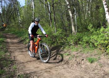 A photo of a man riding a mountain bike on a dirt trail in a forest. Aspen trees along the trail.