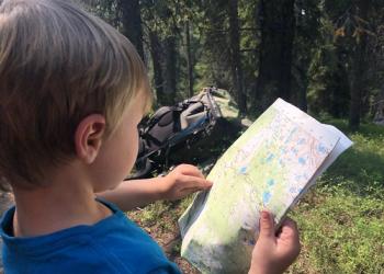 A photo of a boy looking at a map, standing in a forest.