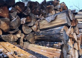 A stack of cut and split firewood.