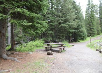 A photo of a picnic table next to a hiking path in the forest. Large pine trees along the trail.