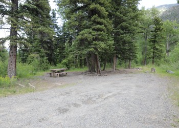 A photo of a campsite in a forested area. A gravel parking spot and a picnic table are in view. Pine trees surround the site.