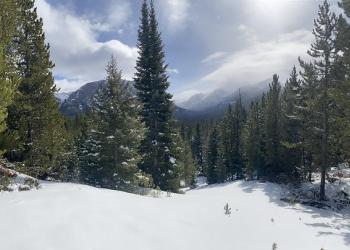 A photo of a forest with snow on the ground, snow in the pine trees and a mountain in the distance, partly cloudy.