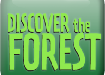 A graphic that states, Discover the Forest.