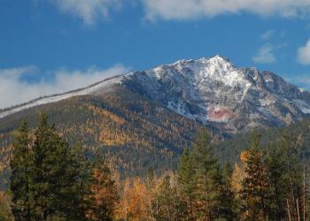 A photo of a forest in the fall season, a mountain with snow in the high elevation peak.