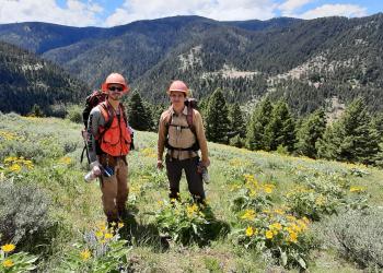 A photo of two people wearing heard hats and backpacks in a meadow of wildflowers in the forest. A mountain is in the background.