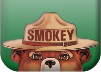 An illustrated graphic of Smokey Bear's head and hat