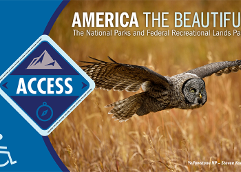 AccessPass.