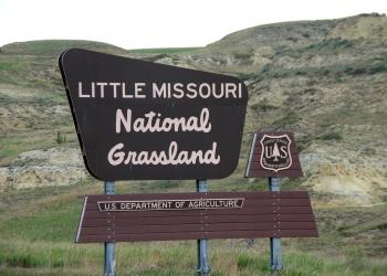 LMNG Sign