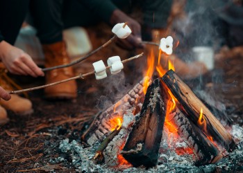 AdobeStock_295496114 Campfire Marshmallow.jpeg