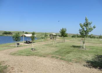 Blacktail Trailhead Picnic Area