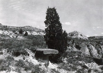 1960s Photo