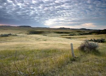 North Dakota Prairie - AdobeStock_129986092.jpeg