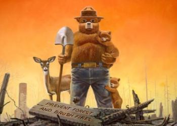 Smokey Bear in burned out field