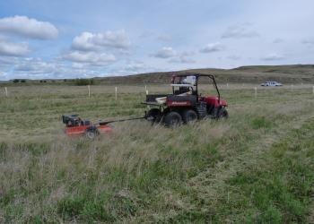 Mowing