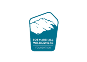 BMWF logo
