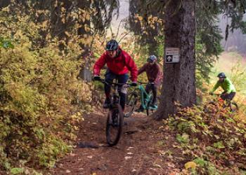 Bikers ride on a forest service trail