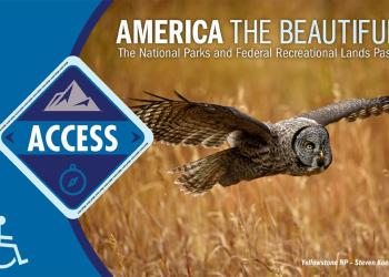 Image of access pass