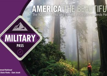 Image of military pass