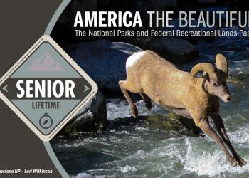 Image of senior pass