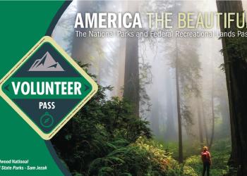 Image of volunteer pass