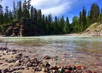 A view from the beach along the South Fork of the Flathead River on the Spotted Bear Ranger District