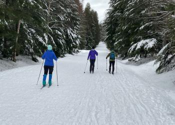 Cross-country skiiers on a trail