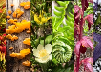 Biodiversity Banner