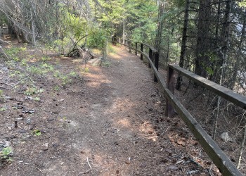 A trail that follows a lake shore