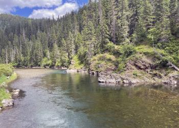 A wide, clear river passing between steep, forested embankments with a flyfishermen in the distance.