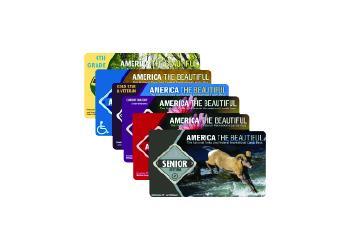 A stack of interagency recreation passes.