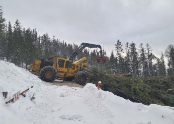 A large tractor with a grappling hook attachment drops freshly cut trees into a pile. The ground is covered with snow.