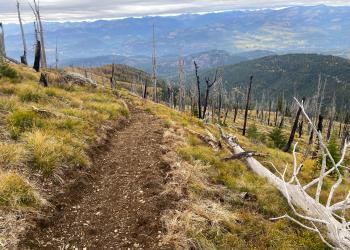 Dirt trail through mountain clear surrounded by snags and downed trees with tree covered mountains in the background