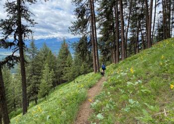 Person on a bike on mountain trail through grass covered hill with trees and mountains in background
