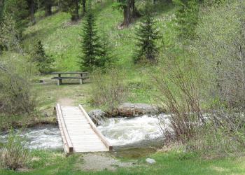 A wooden walking bridge across running stream leads to a picnic table and small fire ring with grassy hill and trees behind it.