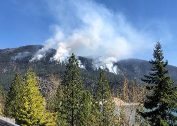 Smoke rises into sky from forested hillside with trees in the foreground and body of water below hill.