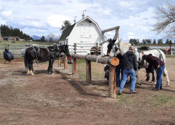 Photo of the Wildlands Training Center on the Lolo National Forest, Montana. 