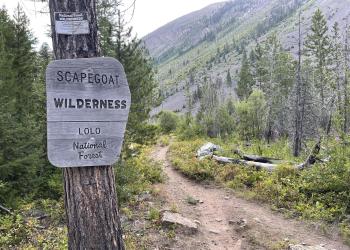 Photo of the sign to the Scapegoat Wilderness, Montana.