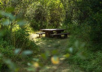 Image of the Lolo Creek picnic and day use area on the Lolo National Forest. 