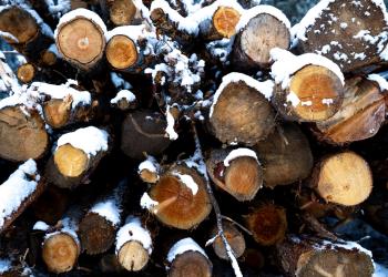 Photo of the log decks in the snow left over from the Miller Peak Fire from 2024.
